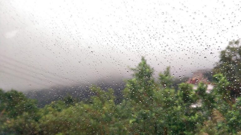 Viernes con lluvias y fin de semana con descenso térmico y probables heladas en Misiones