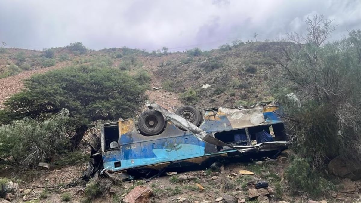 Al menos 28 muertos y 20 heridos luego de que un colectivo cayera por un barranco en Bolivia