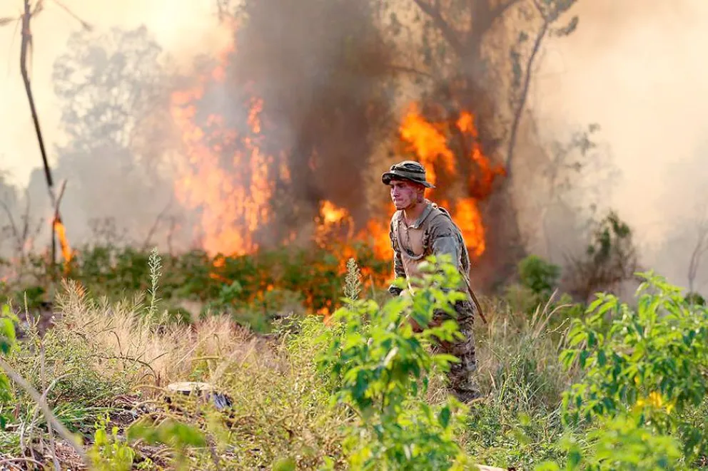 Misiones sufrió más de 250 incendios en todo su territorio