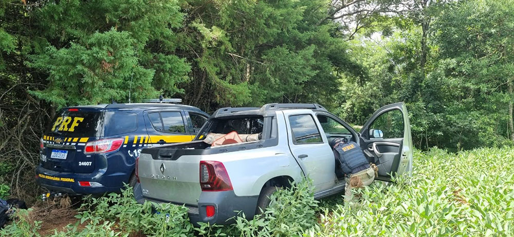 Secuestran casi 300 kilos de marihuana en Brasil: una pareja de Eldorado involucrada