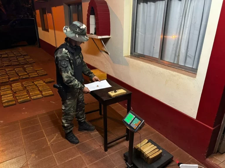 Prefectura secuestró casi 250 kilos de marihuana en Montecarlo