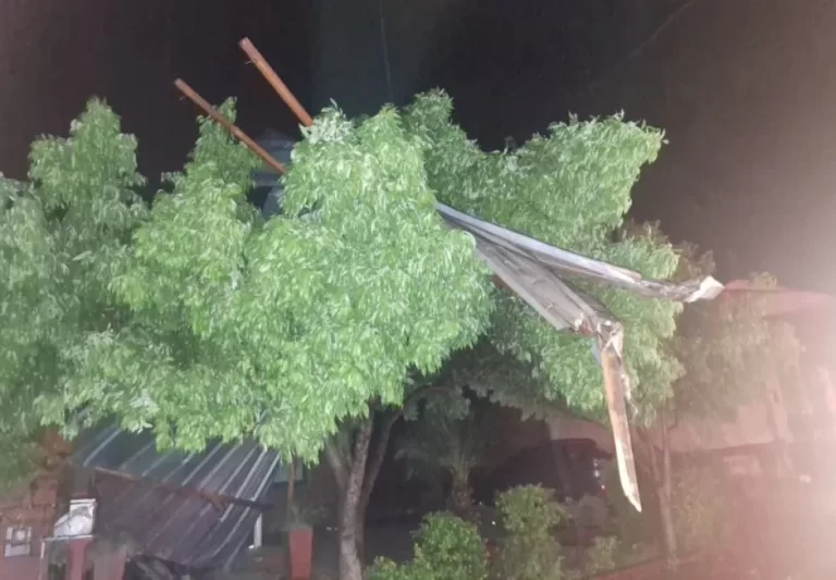 Tormenta en Alem