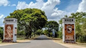Un muerto y 34 hospitalizados por consumir pollo en mal estado