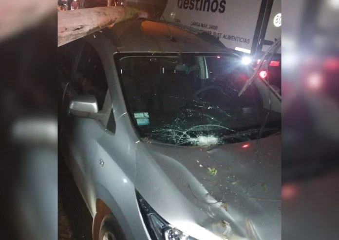 camión derribó un poste de luz y dejó sin energía a un barrio de Puerto Iguazú