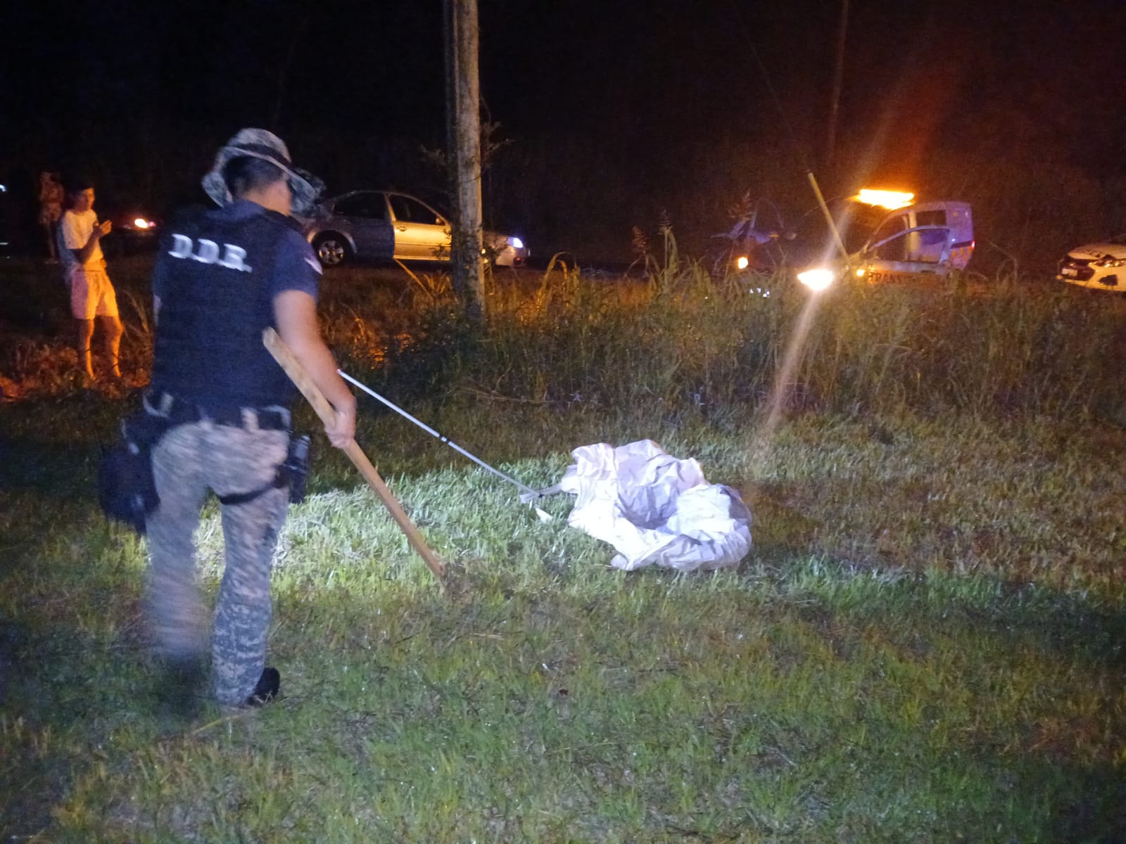 Rescatan un yacaré en Eldorado y lo trasladan a un refugio