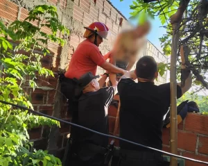 Bomberos rescataron a un hombre con Alzheimer que quedó atrapado dentro un terreno