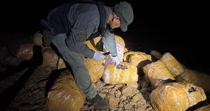 Gendarmería secuestra más de una tonelada de marihuana en Montecarlo
