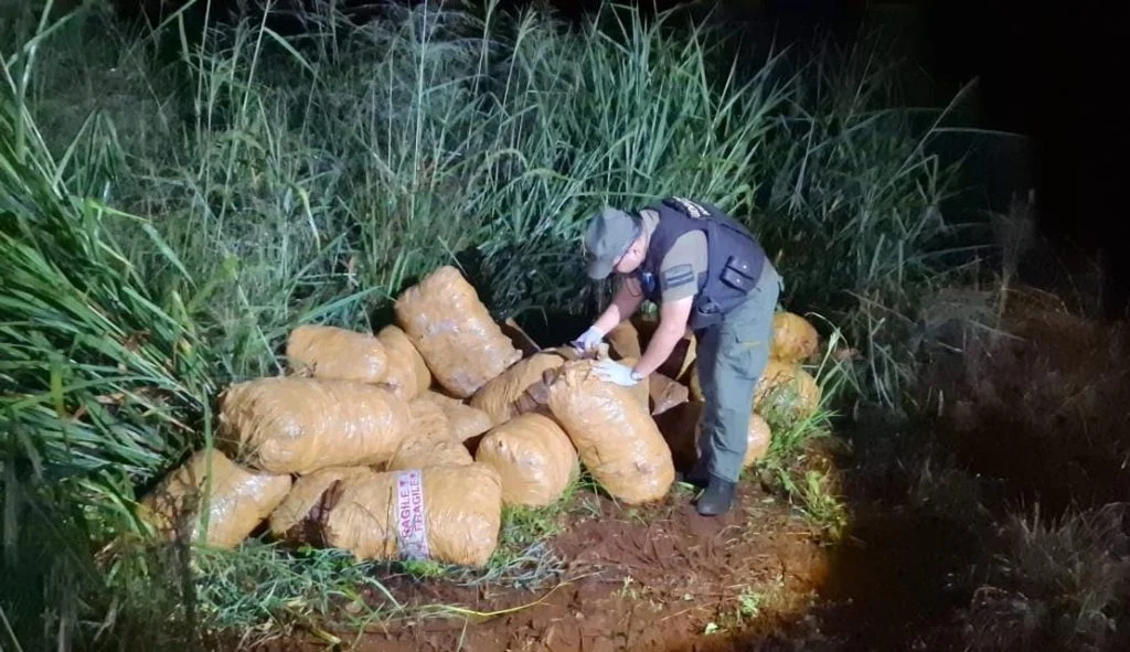Gendarmería secuestró más de una tonelada de marihuana oculta en la selva misionera