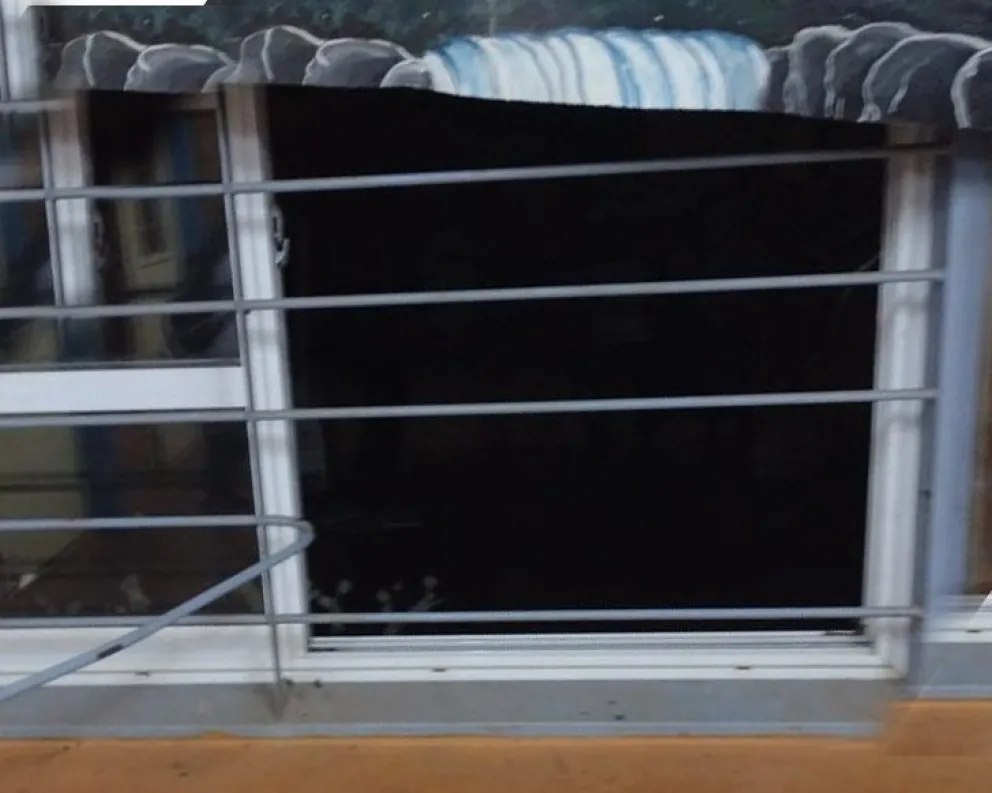 Vandalismo en escuela de Puerto Iguazú deja a cientos de niños sin clases