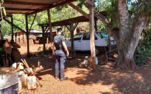 Violento intento de robo a una anciana de 73 años