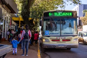 Eldorado impulsa ordenanza para garantizar el boleto gratuito a adultos mayores