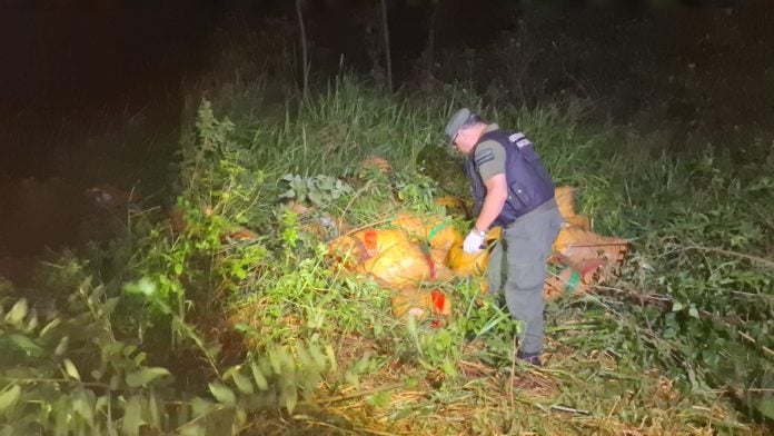 Gendarmería encontró más de 1.220 kilos de marihuana en un monte del norte de la provincia