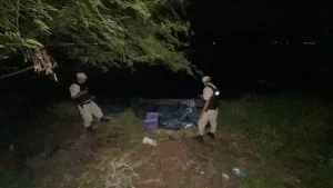 Prefectura secuestró un cargamento de más de 800 cartones de cigarrillos ilegales