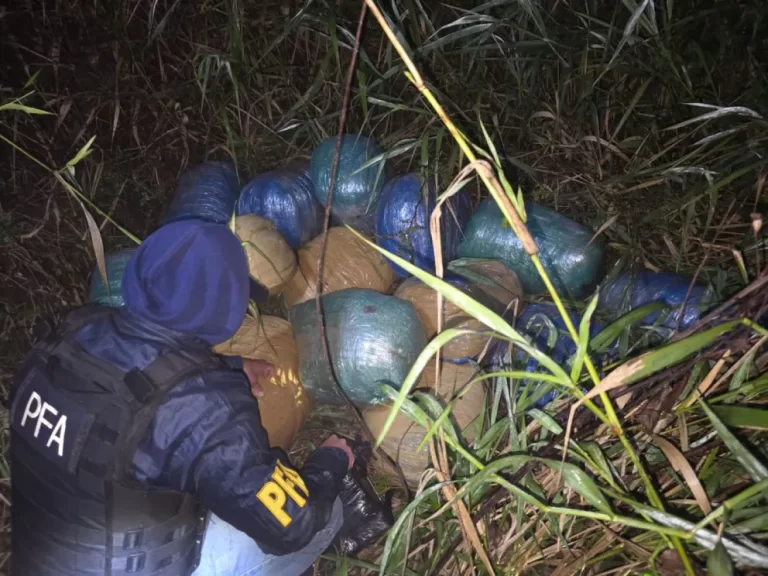 Abandonaron más de 250 kilos de marihuana en Puerto Esperanza
