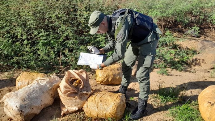 Gendarmería secuestró más de una tonelada de marihuana en Colonia Victoria