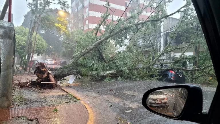 Temporal causa destrozos en Posadas