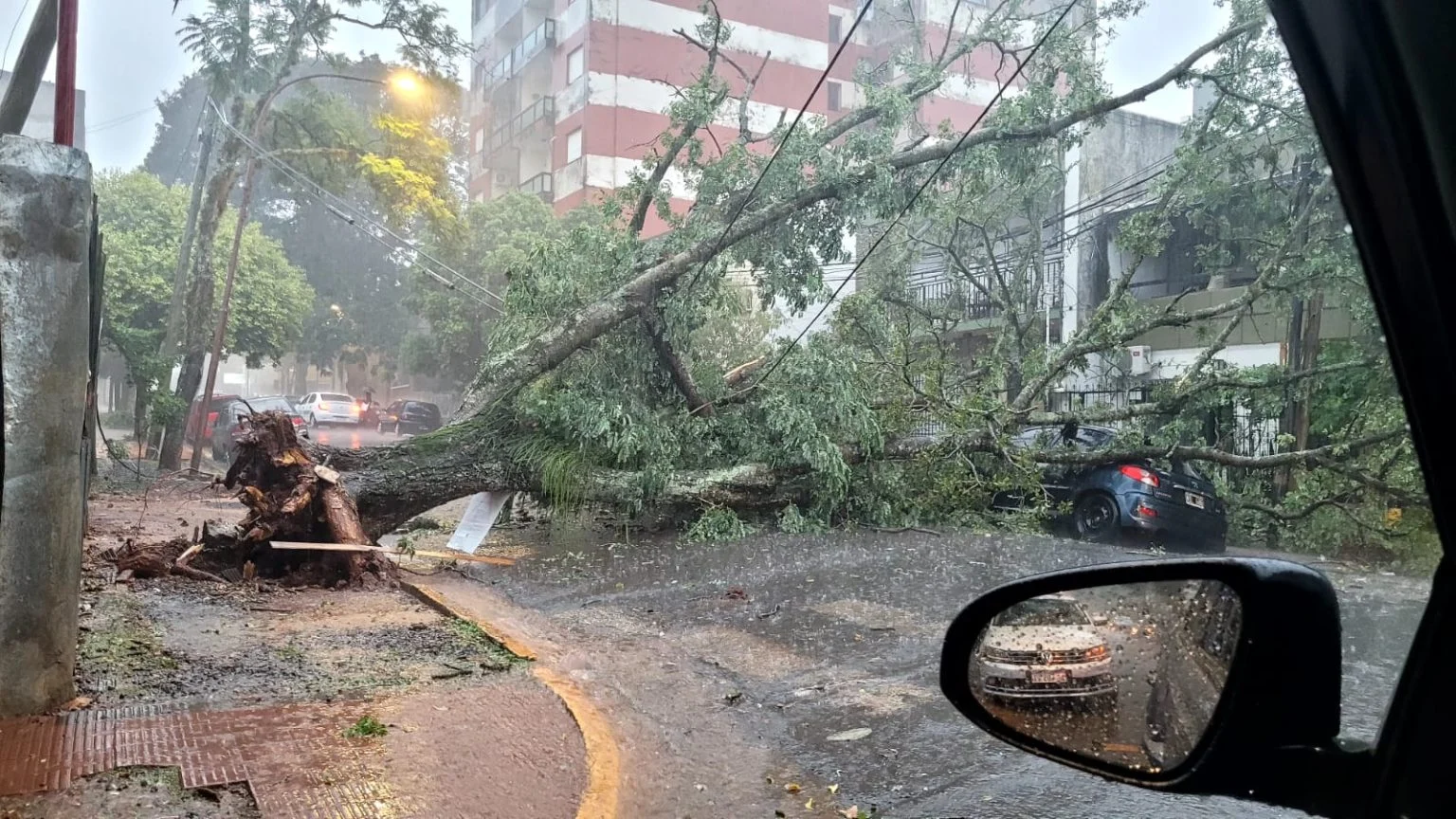 Temporal causa destrozos en Posadas