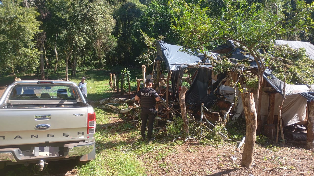 Un árbol cayó sobre una vivienda y provocó la muerte de un hombre en ELDORADO
