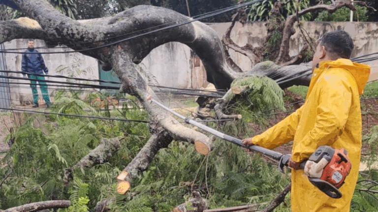 Fuerte temporal azotó el sur de Misiones