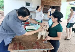 Realizarán un operativo sanitario gratuito para mascotas en el barrio Natch de Eldorado