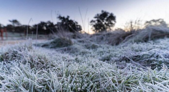 Este jueves será el último día de frío extremo en Misiones