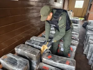 Gendarmería decomisó más de tres mil kilos de marihuana en Misiones