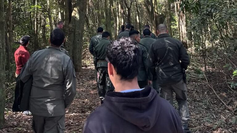 Capacitan a personal de fuerzas de control para identificar maderas y combatir la tala ilegal en Eldorado