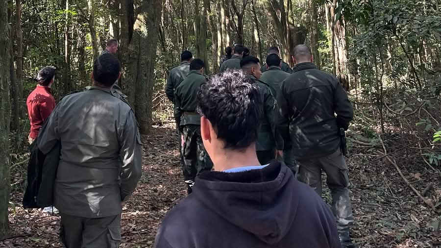 Capacitan a personal de fuerzas de control para identificar maderas y combatir la tala ilegal en Eldorado