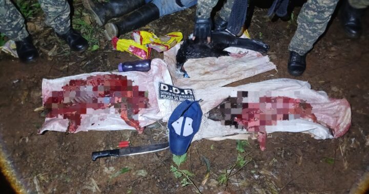 Detuvieron a 3 personas por abigeato y caza furtiva en Misiones
