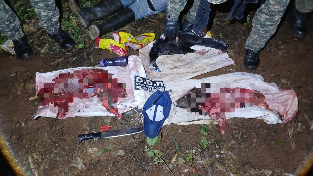 Detuvieron a 3 personas por abigeato y caza furtiva en Misiones