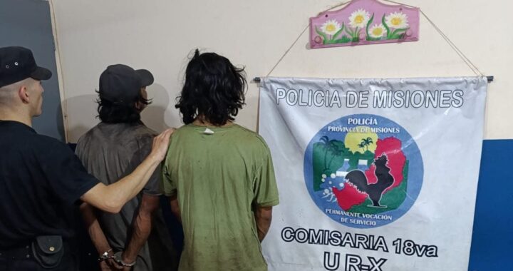 Dos hombres fueron sorprendidos robando cables y terminaron detenidos