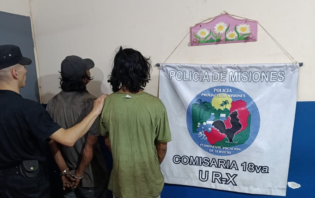 Dos hombres fueron sorprendidos robando cables y terminaron detenidos