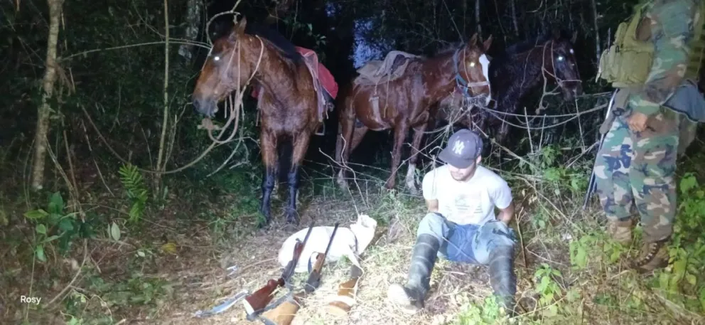 Guardaparques frustran intento de caza furtiva en Misiones