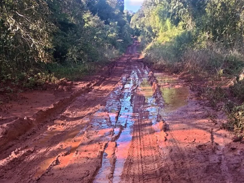 Mal estado del camino deja sin clases a una comunidad Mbya de Mado