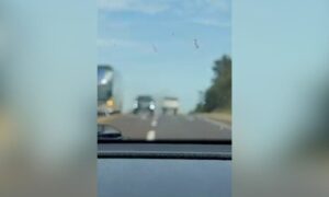Maniobra peligrosa y casi tragedia sobre la Ruta 12 en Misiones