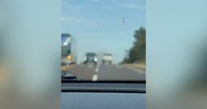 Maniobra peligrosa y casi tragedia sobre la Ruta 12 en Misiones