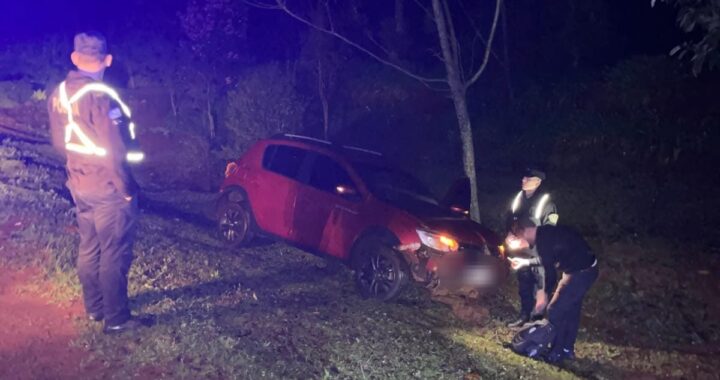 Perdió el control del auto y terminó despistando sobre la Ruta Provincial 8