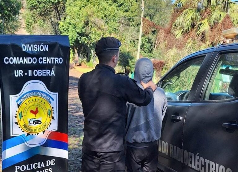 Recuperaron un celular robado a dos menores agredidos por una patota
