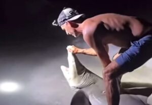Intentó sacarse una selfie con un tiburón