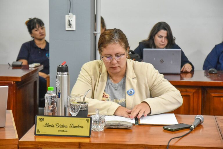 María Cristina Bandera pliego de transporte