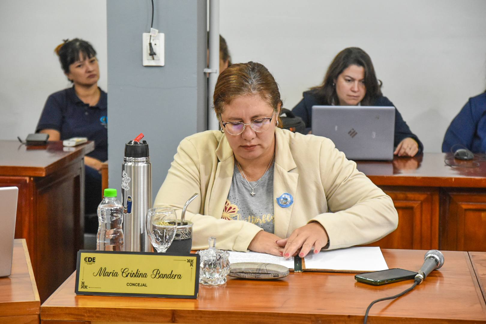 María Cristina Bandera pliego de transporte
