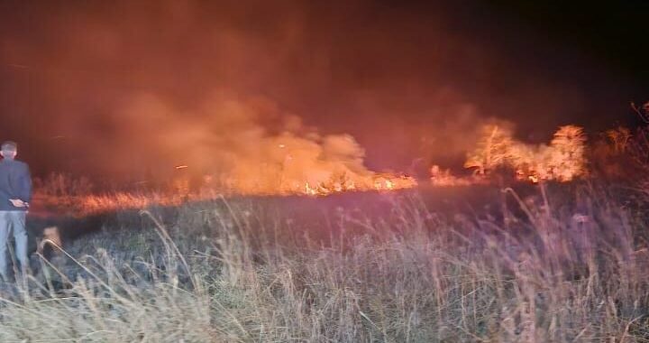 Sofocaron un incendio de malezas que afectó 20 hectáreas en Misiones