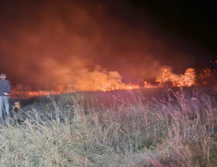 Sofocaron un incendio de malezas que afectó 20 hectáreas en Misiones