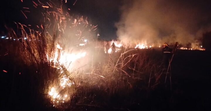Un incendio de malezas se desató afectando 5 hectáreas
