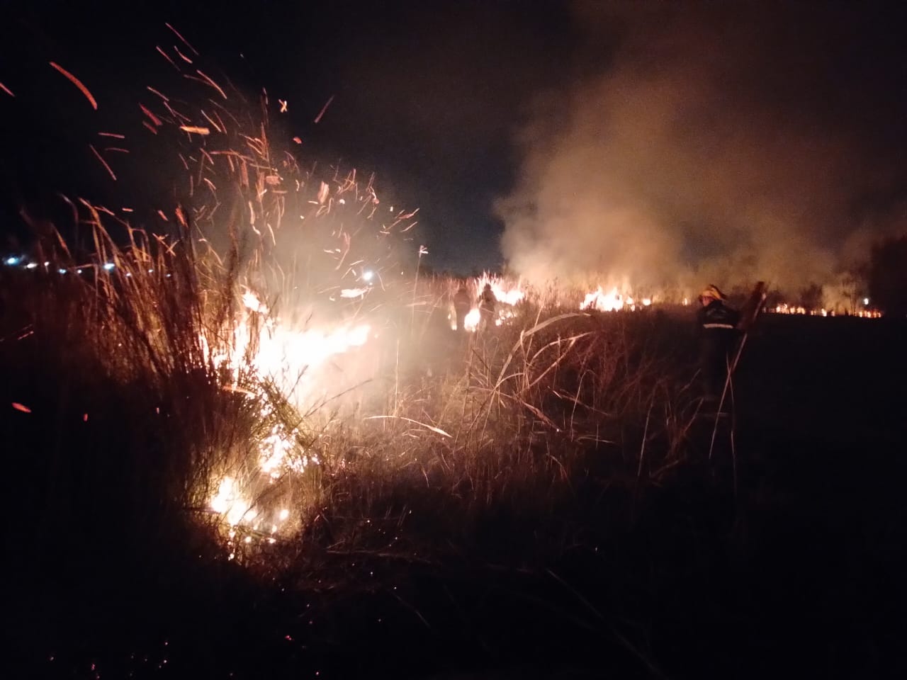 Un incendio de malezas se desató afectando 5 hectáreas