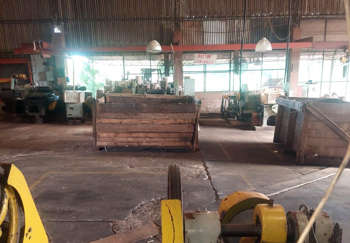 maderera de Eldorado suspende a sus empleados por 30 días