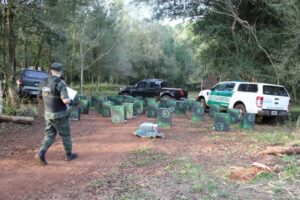 Operativo de Gendarmería en Puerto Piray