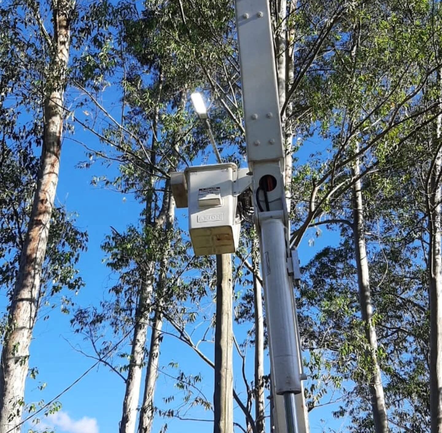 Eldorado avanza con el recambio de luminarias
