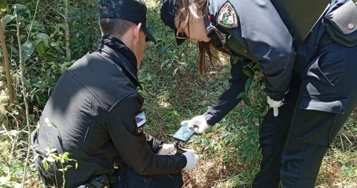 Femicidio en San Vicente