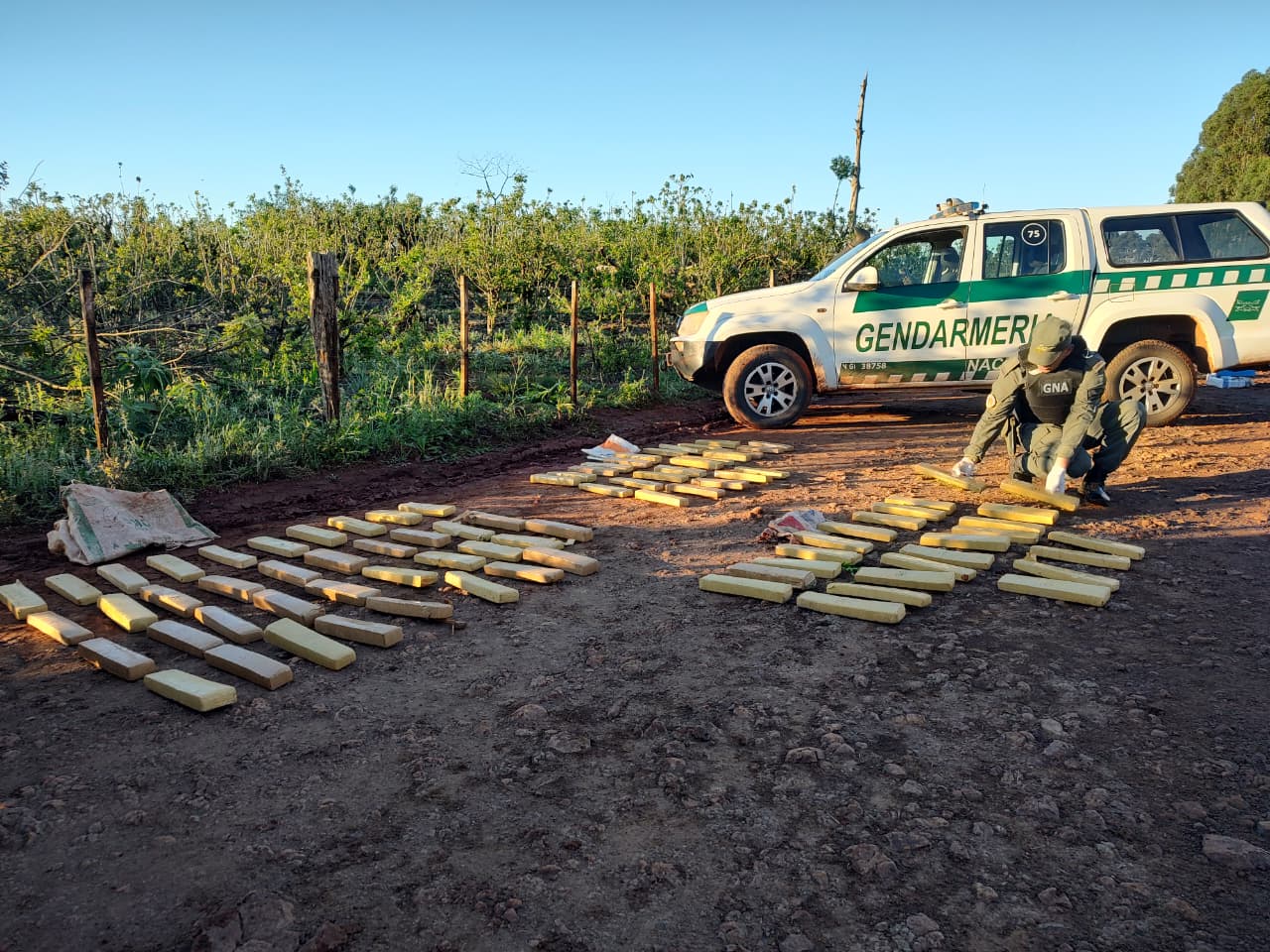 Gendarmería secuestró más de 84 kilos de marihuana